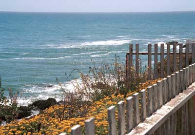 View on Pigeon Point