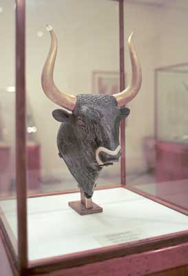 The bull - symbol of Minos.