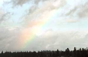 Washington rainbow