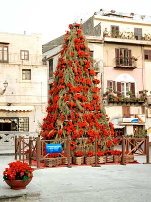 Christmas tree in the plaza.