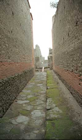 A side alley between houses.