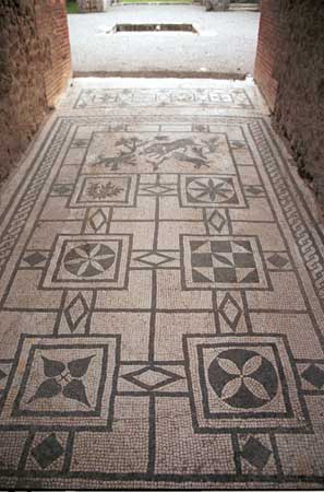 Many floors in the houses had geometric tiled floors.