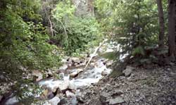 Mt. Nebo stream