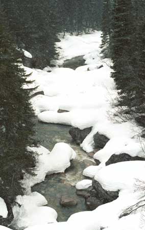 Snowy stream